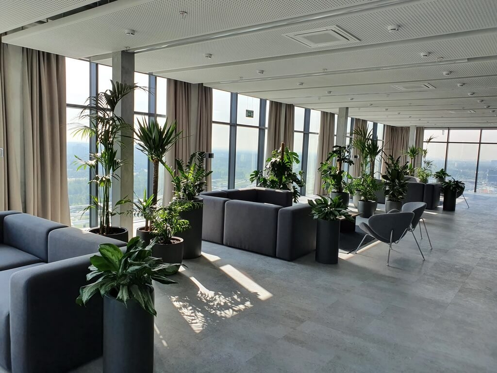 Озеленение бизнес-центров iplants.by