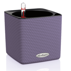 CUBE-Color-14-Lavanda-280x280