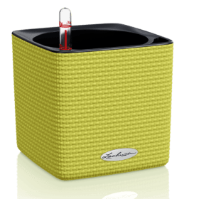 CUBE-Color-14-zelenyj-lajm-280x280
