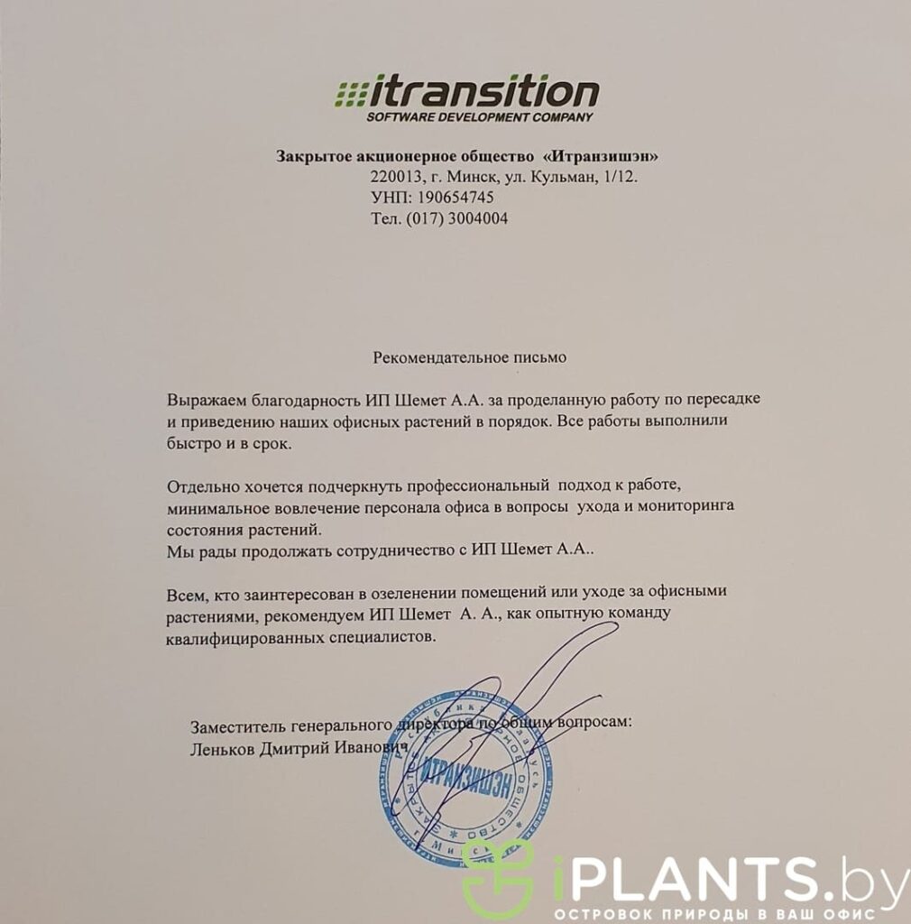 Благодарим за рекомендательное письмо компанию Itransition